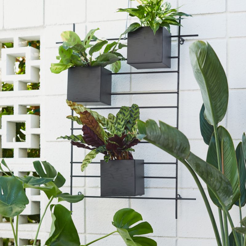 4 Box Wall Mounted Indoor/Outdoor Planter - image 4 of 14