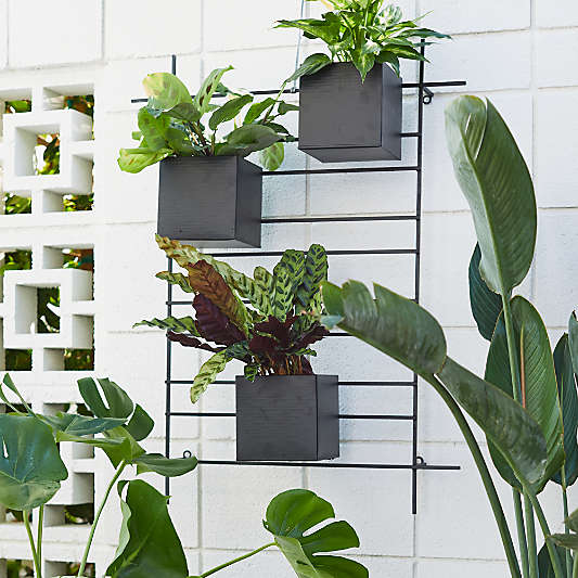 4 Box Wall Mounted Indoor/Outdoor Planter