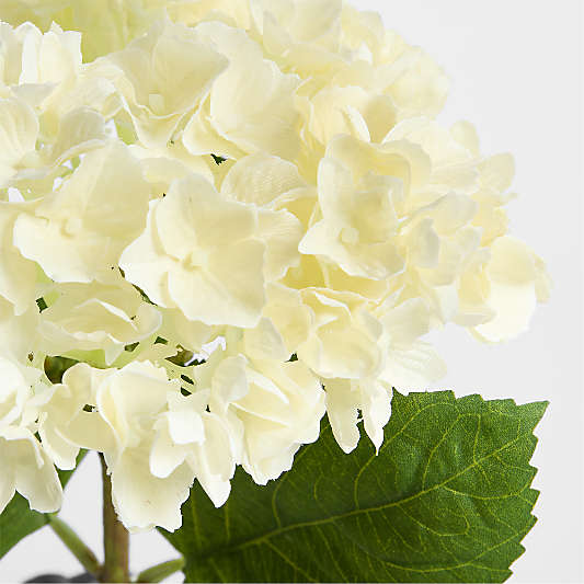 Faux Cream Hydrangea Stem 14" by Abigail Ahern