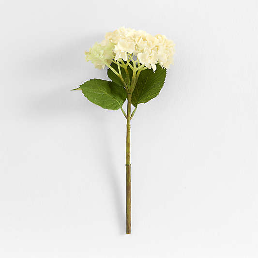 Faux Cream Hydrangea Stem 14" by Abigail Ahern