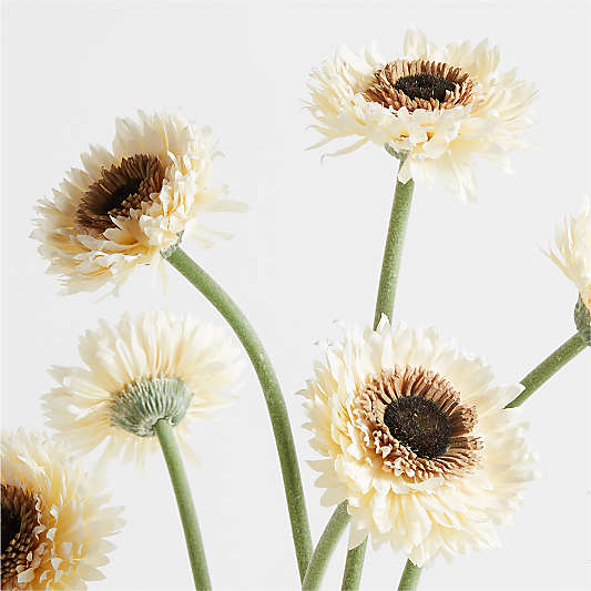 Faux Gerbera Daisy Stems 24", Set of 5 by Abigail Ahern