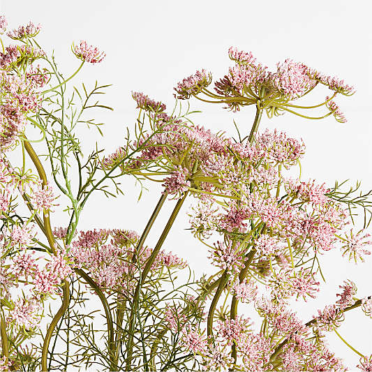 Faux Pink Queen Anne's Lace Stem 43" by Abigail Ahern