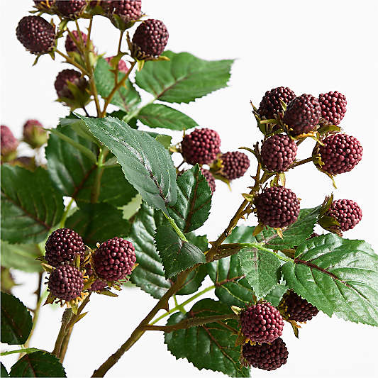 Faux Raspberry Bundle by Abigail Ahern