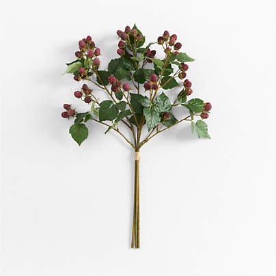 Faux Raspberry Bundle by Abigail Ahern