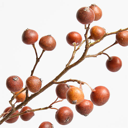 Faux Rose Hip Spray 34" by Abigail Ahern