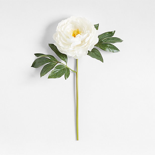 Faux White Peony Stem 20