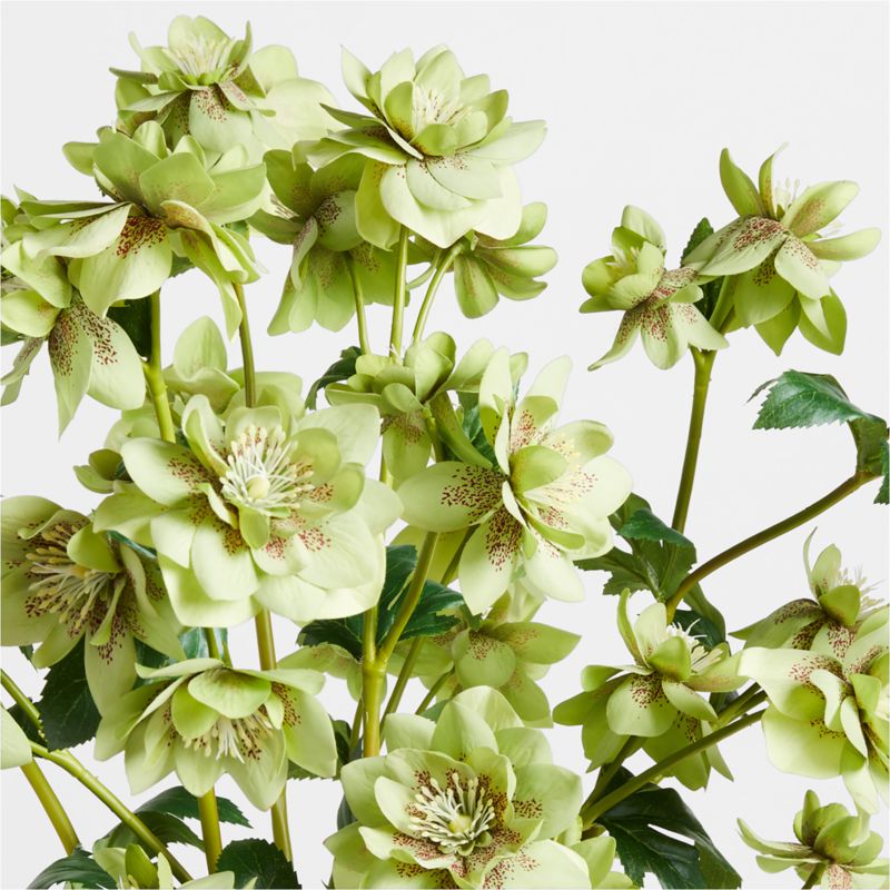 Faux Christmas Rose Spray by Abigail Ahern - image 2 of 3