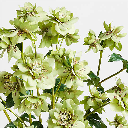 Faux Christmas Rose Spray by Abigail Ahern