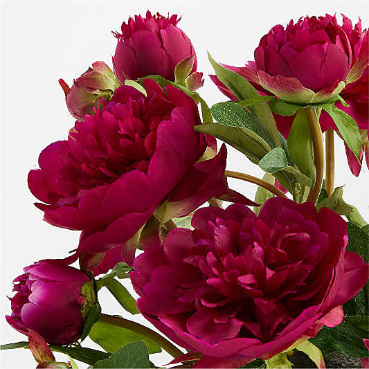 Faux Fuchsia Peony Bundle by Abigail Ahern