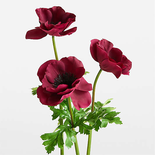 Faux Deep Red Anemone 24.5", Set of 3 by Abigail Ahern