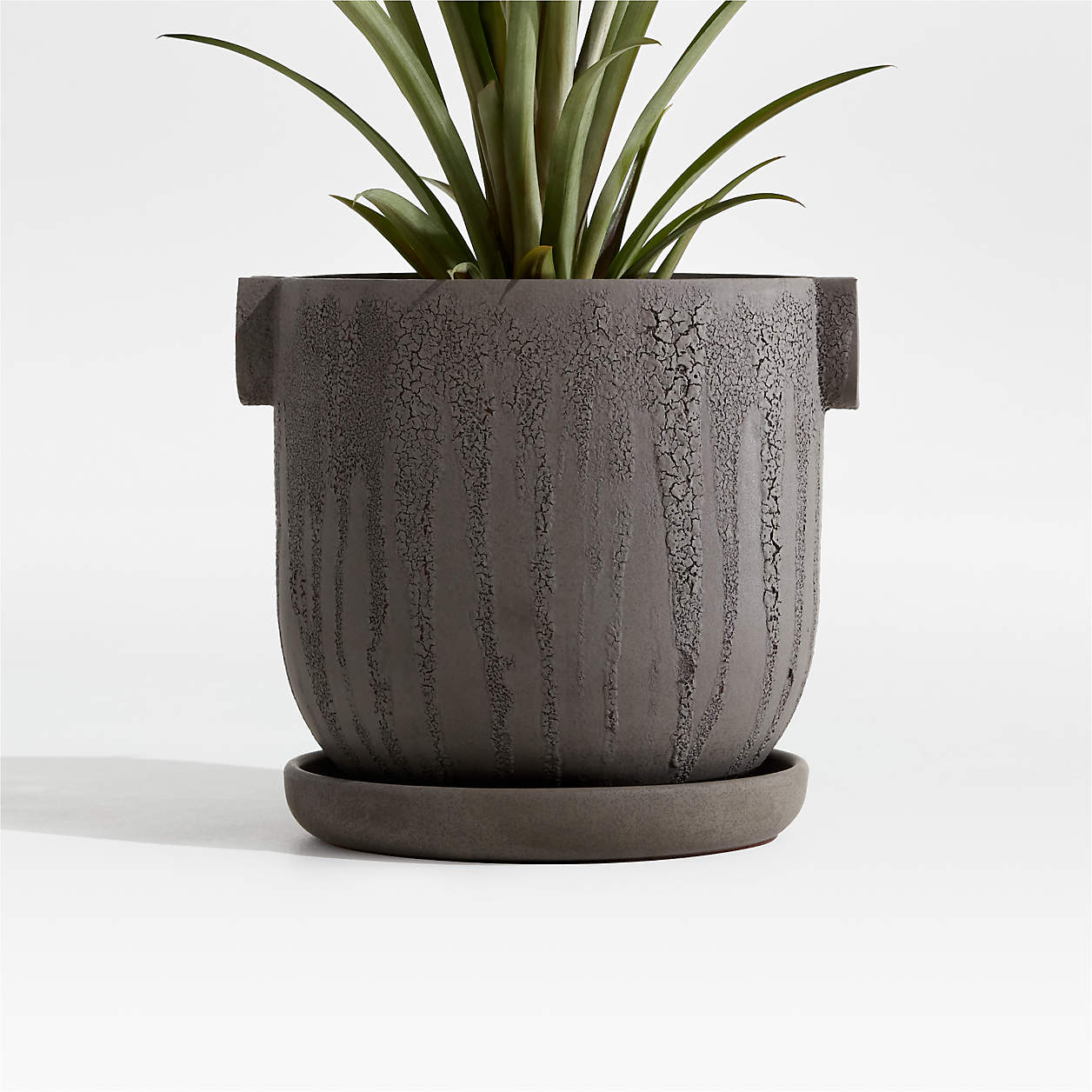 Crucible Small Black Terracotta Planter Pot with Saucer by Athena