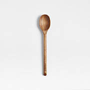 Crate & Barrel Acacia Small Spoon