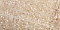 Arctic Ivory