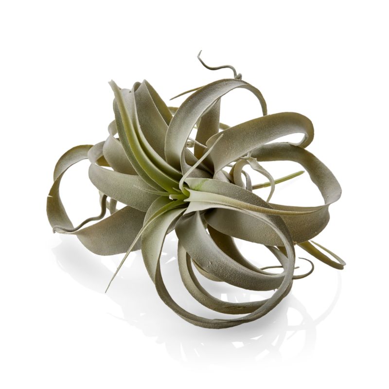 Faux Air Plant