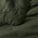 Ficus Green