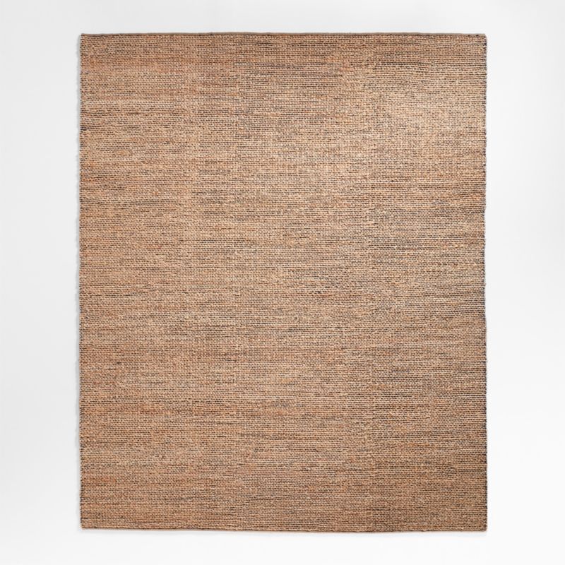 Ales Chenille and Jute/Cotton Blend Black Area Rug 10'x14'