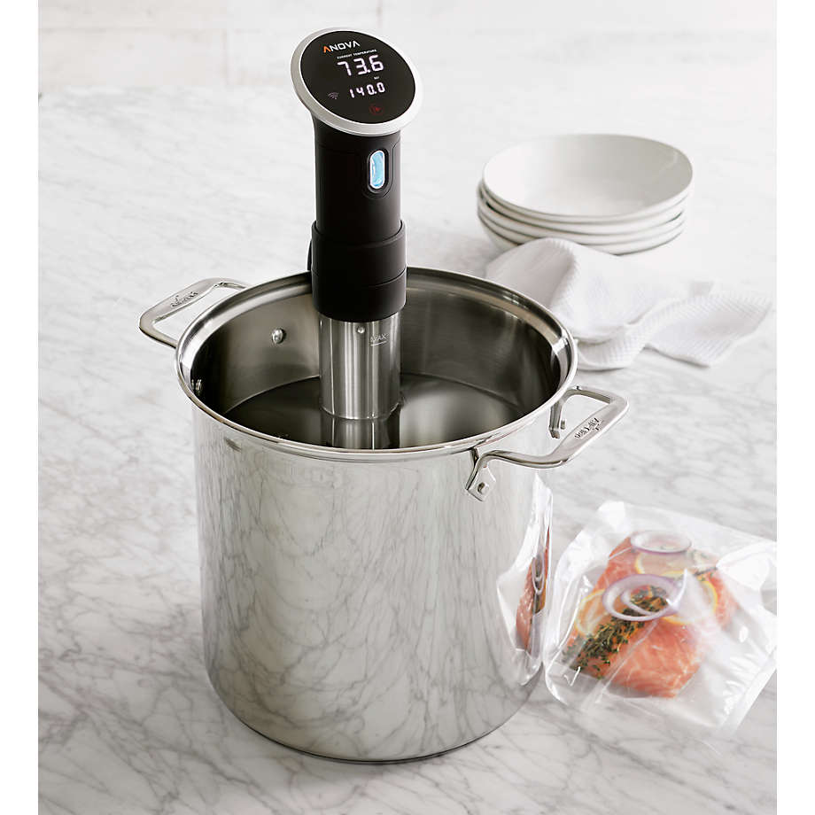 Crate&Barrel All-Clad ® Stainless Steel 12 qt. Multipot with Perforated  Insert and Steamer Basket