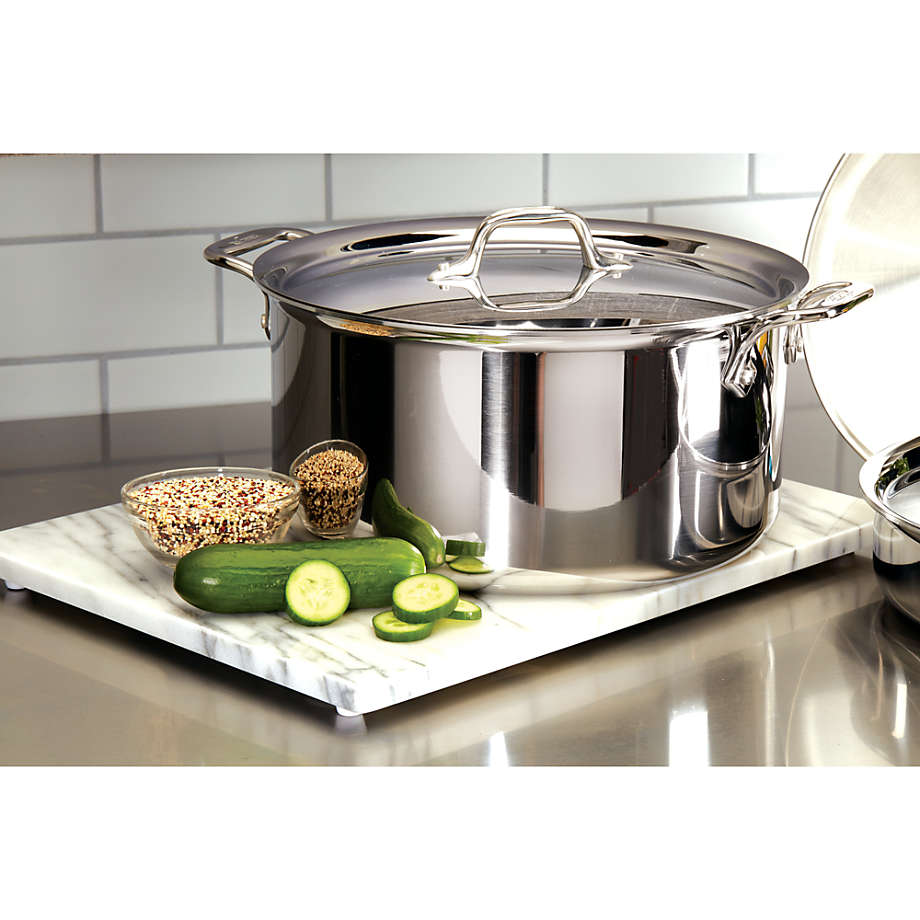 All-Clad d3 Stainless Steel 8-Quart Stockpot with Lid + Reviews