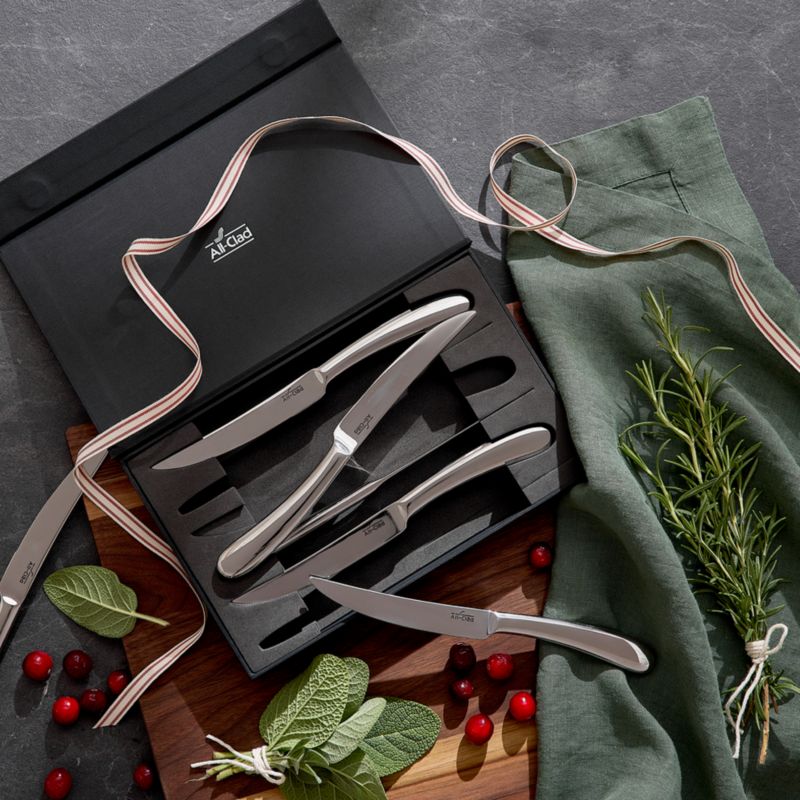 All-Clad ® Forged 6-Piece Stanless Steel Steak Knife Set with Gift Box - image 1 of 8