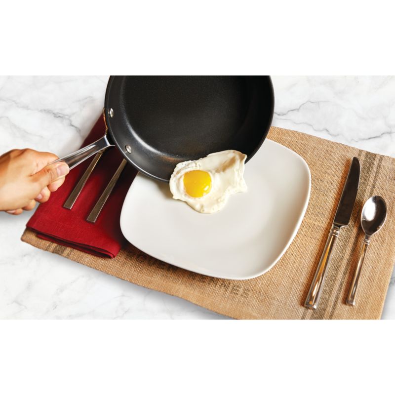 All Clad Ha1 Hard Anodized Non Stick 10 Frying Pan Reviews Crate And Barrel Canada 4396