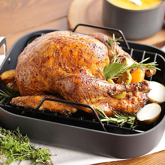 All-Clad ® HA1 Hard Anodized Non-Stick 16.5" Roaster with Rack