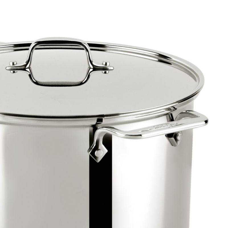 All Clad Stainless Steel 16 Qt. Stockpot with Lid Reviews Crate Barrel