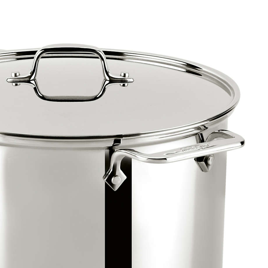 Matron Klagen Post impressionisme All-Clad Stainless Steel 16-Qt. Stock Pot with Lid + Reviews | Crate &  Barrel