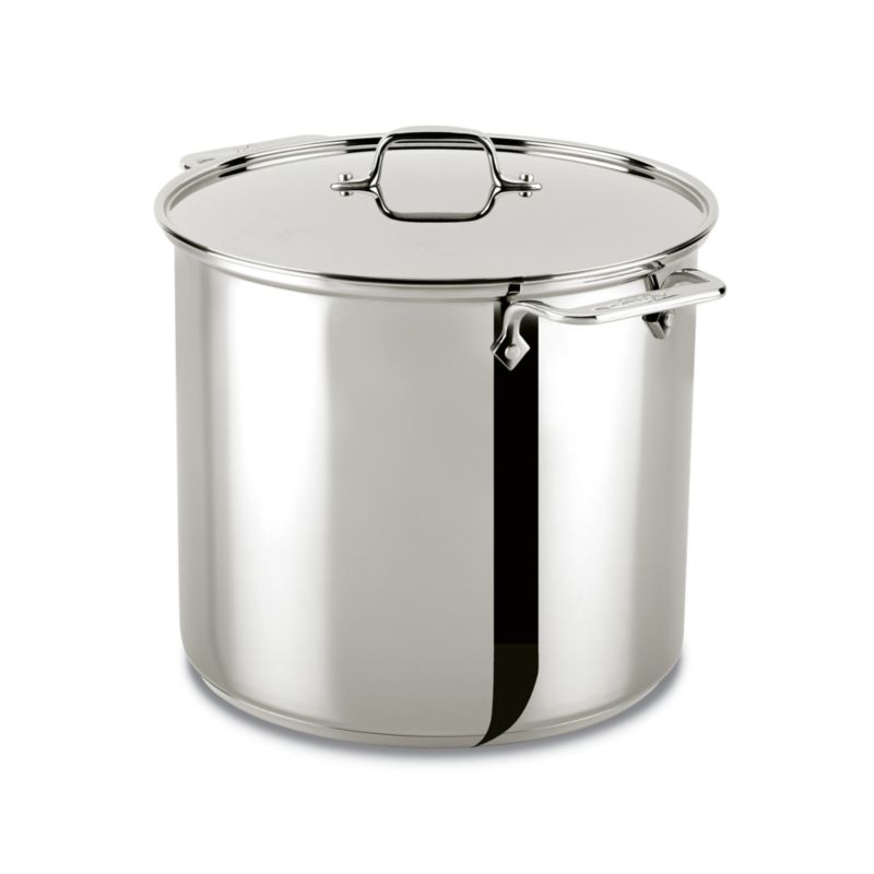 All-Clad © Stainless Steel 16-Qt. Stockpot with Lid