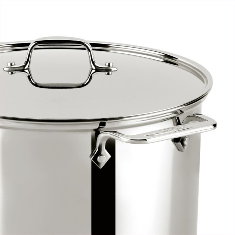 All Clad 8 Qt Stainless Steel Multipot With Perforated Insert And Steamer Basket Reviews 9304