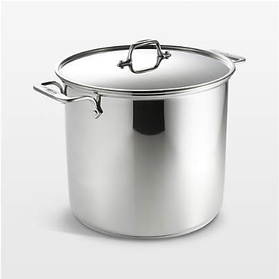 All-Clad ® Stainless Steel 16-Qt. Stockpot with Lid