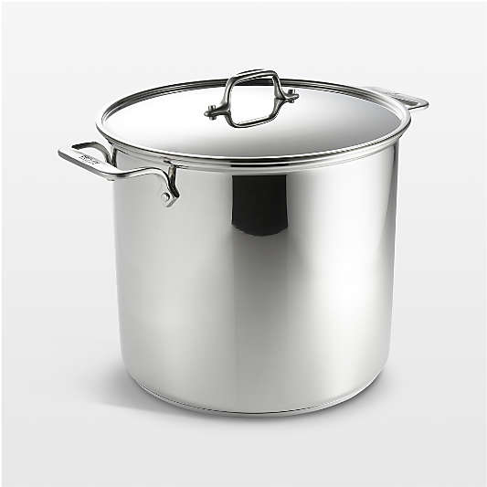 All-Clad ® Stainless Steel 16-Qt. Stockpot with Lid