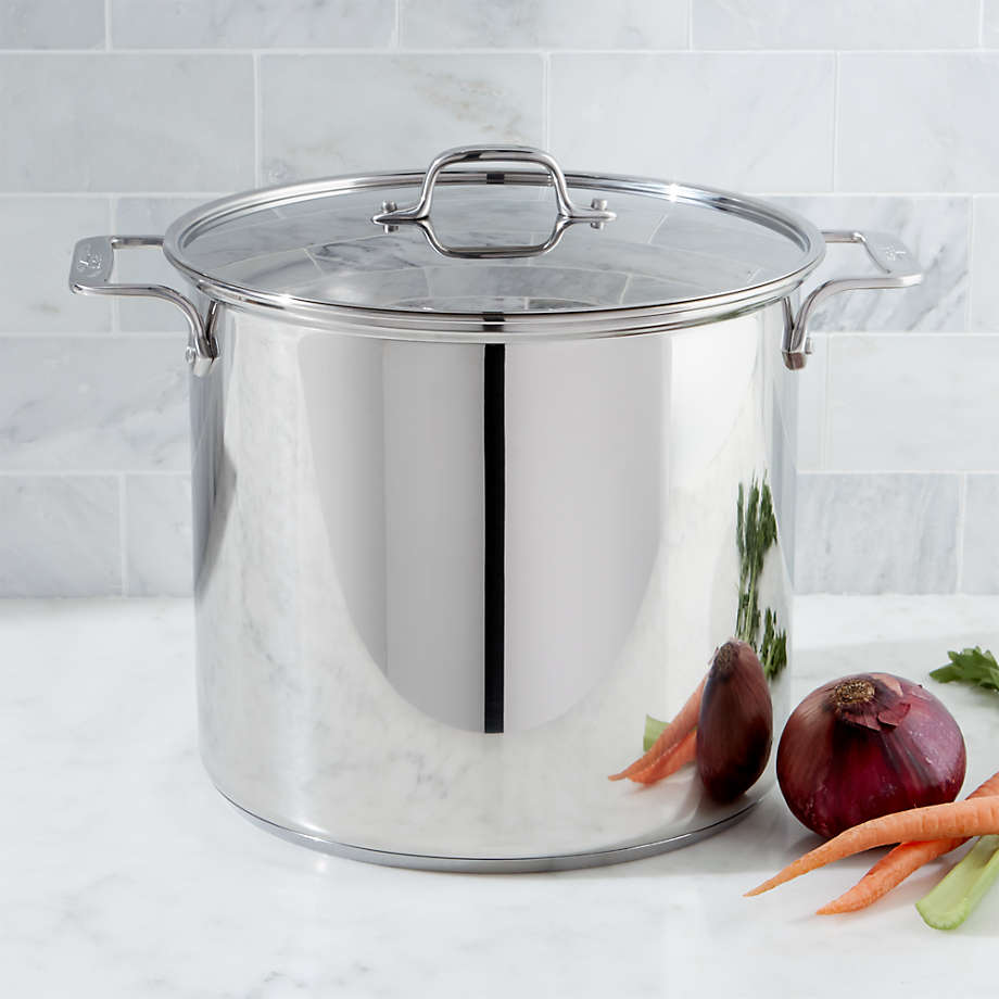 All-Clad Stainless Steel 16-Qt. Stock Pot with Lid + Reviews 
