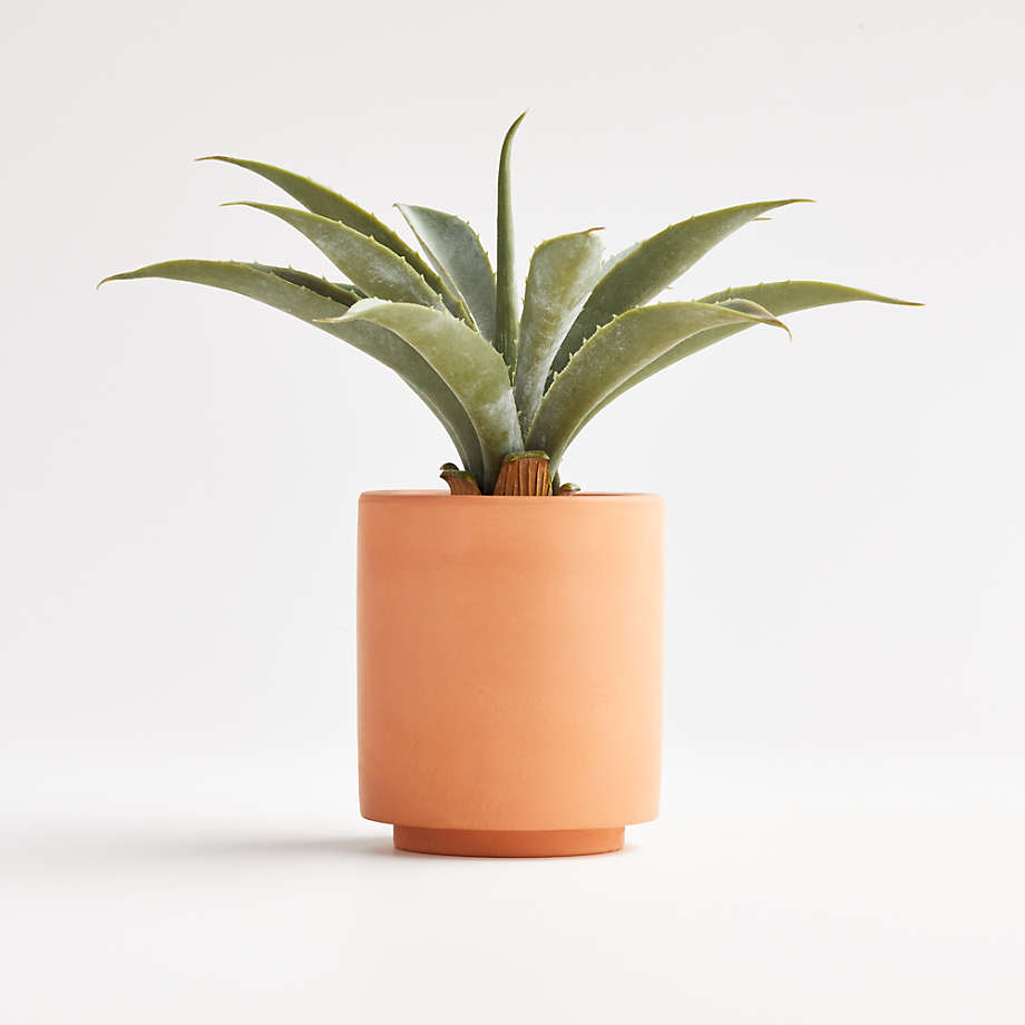 Artificial Faux Aloe In Terracotta Pot Reviews Crate Barrel