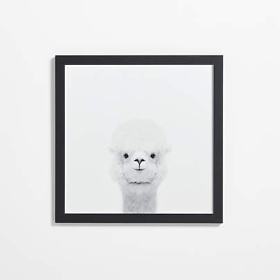 Baby Alpaca Black Wood Framed Wall Art Print