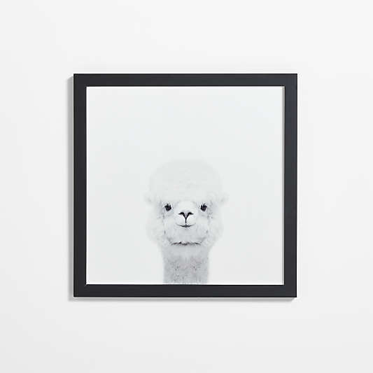 Baby Alpaca Black Wood Framed Wall Art Print