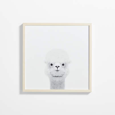 Baby Alpaca Maple Wood Framed Wall Art Print
