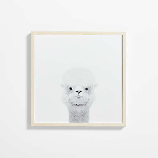 Baby Alpaca Maple Wood Framed Wall Art Print