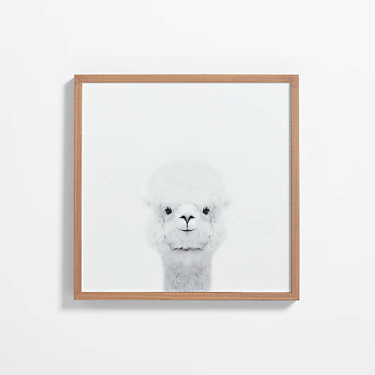 Baby Alpaca Walnut Wood Framed Wall Art Print