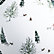 Winter Scene