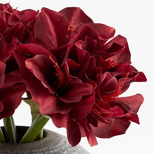 Faux Red Amaryllis Stem Bundle by Abigail Ahern