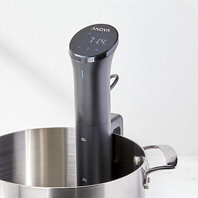 Foragt Evaluering fe Anova Precision Cooker Nano 3.0 + Reviews | Crate & Barrel