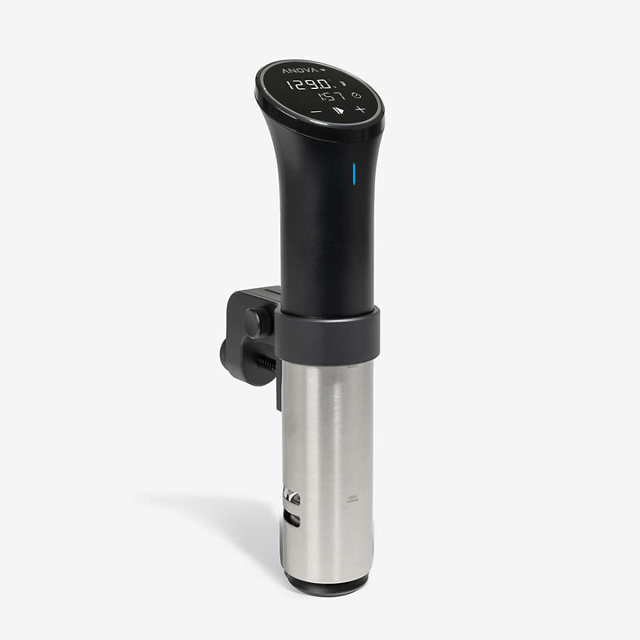 Anova Precision Sous Vide Cooker 3.0 | Crate & Barrel