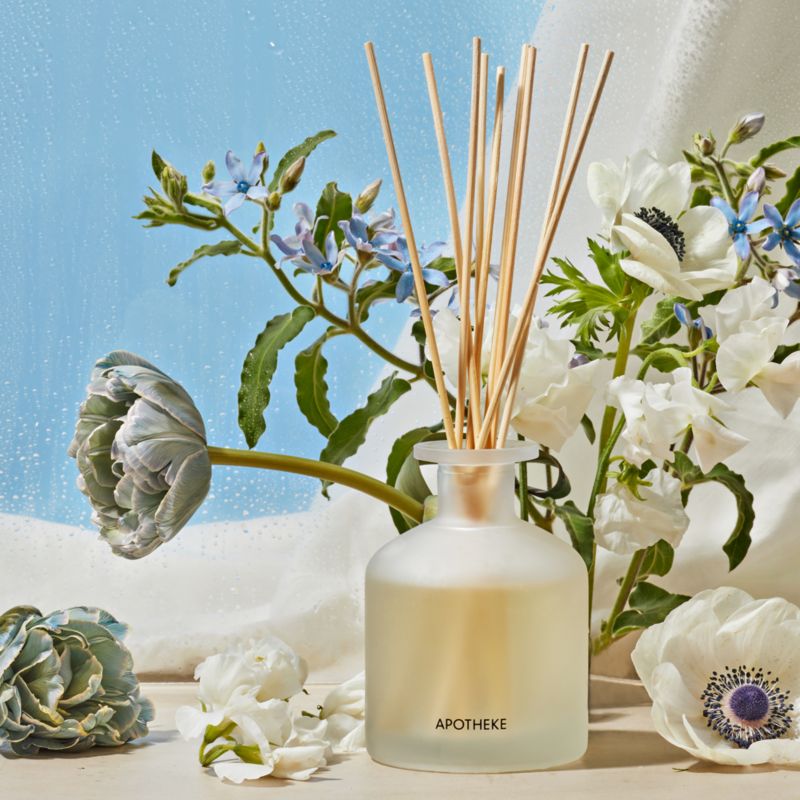 Apotheke Canvas Reed Diffuser Liquid Refill - image 1 of 2