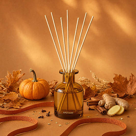 Apotheke Pumpkin Ginger Mini Reed Diffuser