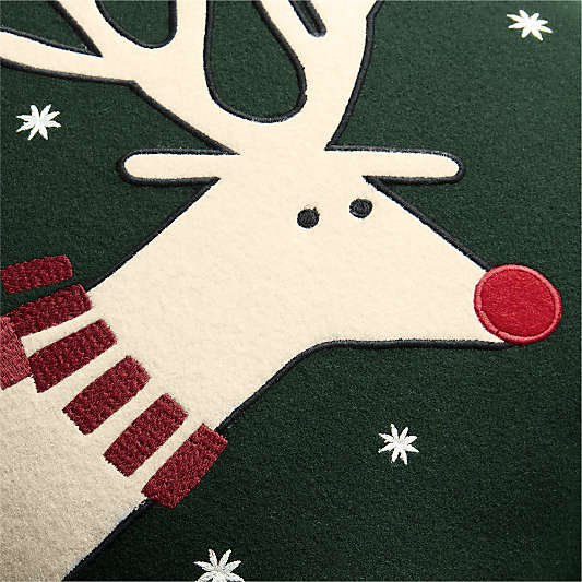 Joan Anderson's Arctic Friend Reindeer 20"x20" Spruce Green Throw Pillow Cover