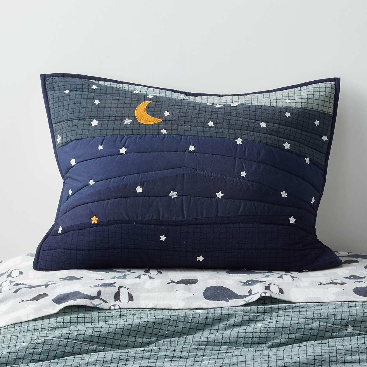 Arctic Kids Organic Twin Night Sky Pillow Sham Crate & Kids