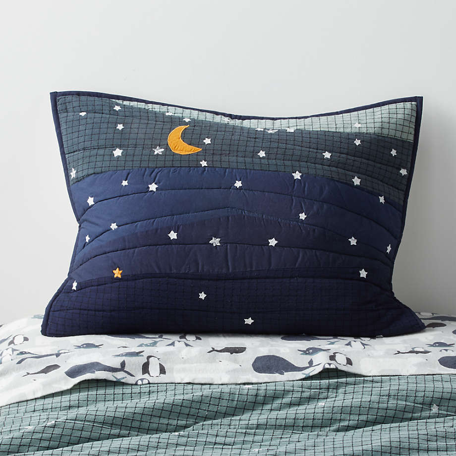 Arctic Kids Organic Twin Night Sky Pillow Sham Crate & Kids