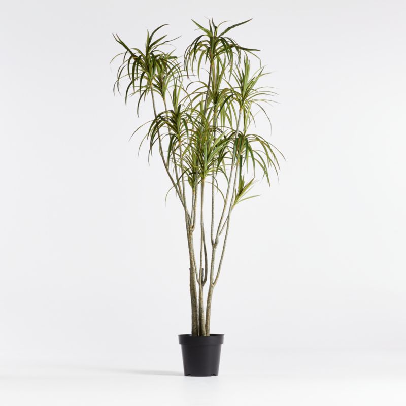 Faux Potted Dracaena 6.5