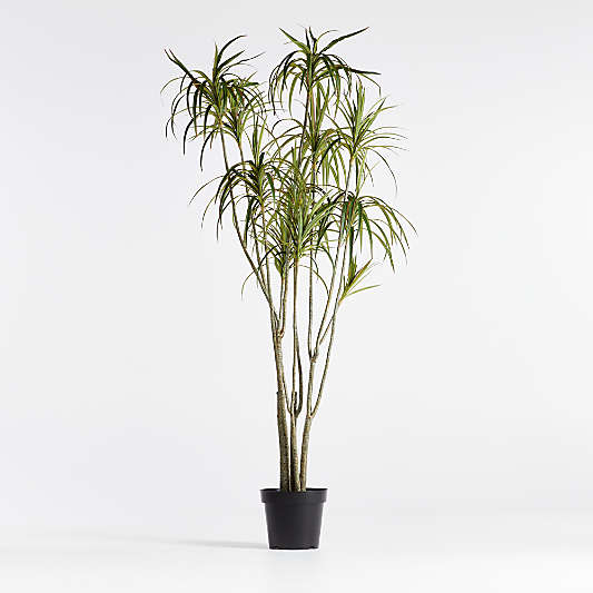 Faux Potted Dracaena 6.5'