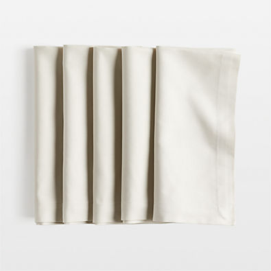 View Aspen Warm Natural Organic Cotton Napkin, Set of 4 details
